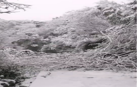 戰(zhàn)暴雪、保供電！湖南發(fā)展鳥兒巢公司應(yīng)對(duì)極端天氣緊急搶修失電故障